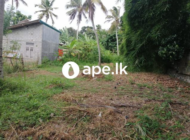 Land for sale minuwangoda